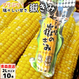 あなた嶽のきみ（真空パック） LLサイズ 10本 青森産 とうもろこし トウモロコシ 嶽きみ だけきみ ダケキミ コーン もろこし きび きみ 産地直送 岩木屋 送料無料