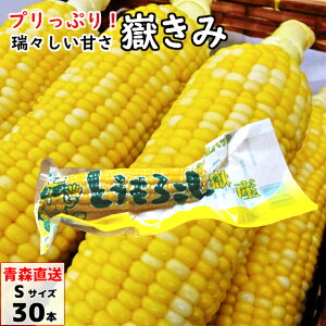 Ԃ݁i^pbNj STCY 10{/20{/30{ XY  _PL~ Ƃ낱 gERV 낱  ؉ 