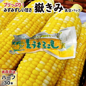 嶽きみ(真空パック) ハーフ 10本/20本/30本 青森県産 だけきみ ダケキミ とうもろこし トウモロコシ もろこし きび 岩木屋 送料無料
