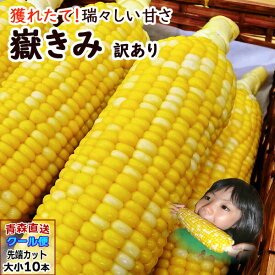 とうもろこし 訳あり だけきみ 嶽きみ 10本入り 青森県産 ダケキミ トウモロコシ とうきび もろこし 産地直送 送料無料