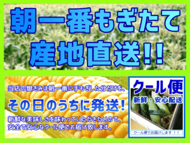 きみ訳あり品箱込み20キロ 楽天市場】とうもろこし 訳あり だけきみ 嶽きみ 10本入り 青森