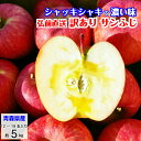 りんご サンふじ 訳あり リンゴ 林檎 5kg 青森産 葉とらず ふじ フジ 富士 冨士 送料無料