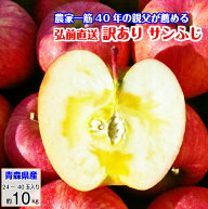 りんご サンふじ 訳あり リンゴ 林檎 10kg 青森産 葉とらず ふじ フジ 富士 冨士 送料無料 お歳暮 ギフト