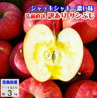 りんご サンふじ 訳あり リンゴ 林檎 3kg 青森産 葉とらず ふじ フジ 富士 冨士 送料無料 お歳暮 ギフト