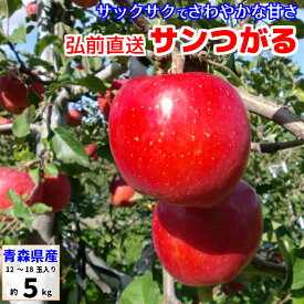 サンつがる りんご 訳あり 5kg 青森産 葉とらずりんご つがる サンツガル 津軽 リンゴ 林檎 送料無料