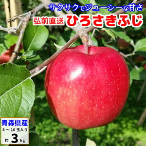 󂠂 킹ӂ ZtW ӂ 3kg XY tƂ炸 Ђ낳ӂ qTLtW OOӂ ӂ ym  S ь 