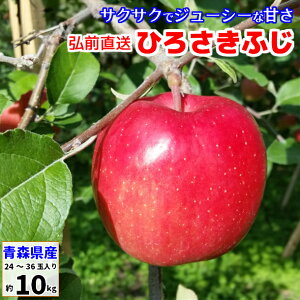 󂠂 킹ӂ ZtW ӂ 10kg XY tƂ炸 Ђ낳ӂ qTLtW OOӂ ӂ ym  S ь 