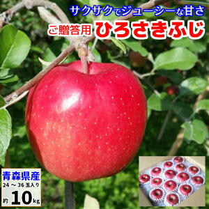 p 킹ӂ ZtW ӂ 10kg XY tƂ炸  S ь Ђ낳ӂ qTLtW OOӂ ӂ ym 
