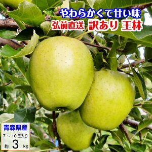 󂠂  IE  3kg XY  S ь tƂ炸  Mtg
