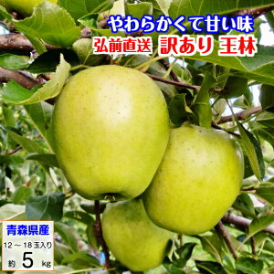 󂠂  IE  5kg XY  S ь tƂ炸  Mtg
