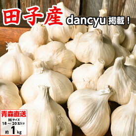 田子にんにく 訳あり Mサイズ 1kg/2kg/3kg/5kg/10kg 青森県産 たっこにんにく タッコニンニク 大蒜 福地ホワイト六片 送料無料