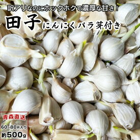 訳あり 田子にんにく（芽付き） ワケアリ ニンニク バラ 500g 青森産 国産 田子町 芽付き メール便 送料無料