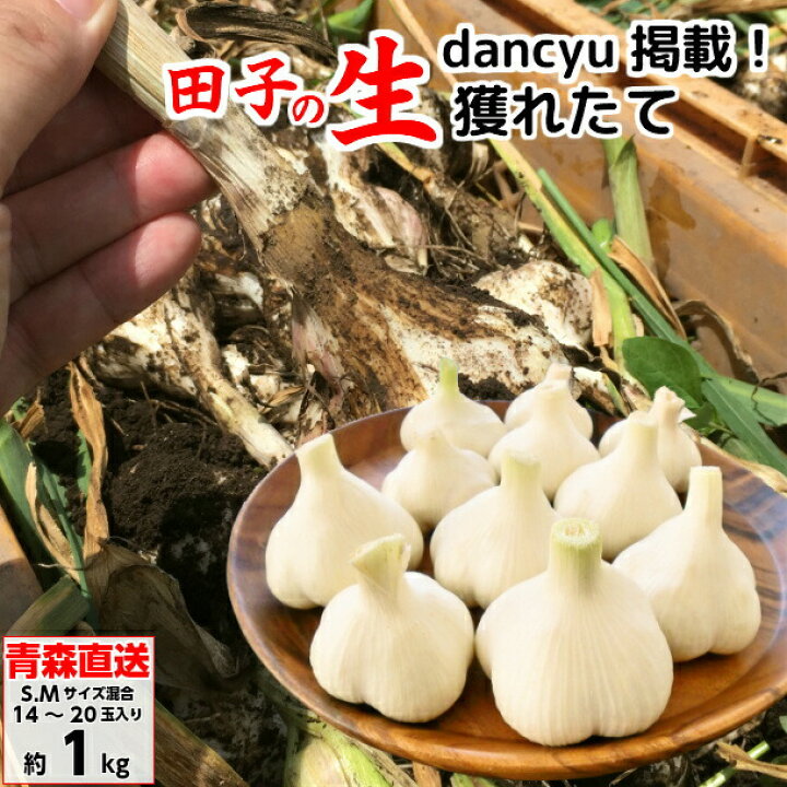 楽天市場】田子にんにく 生にんにく S/Mサイズ混合 1kg/2kg/3kg/5kg 