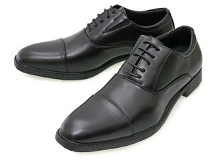 Raccoonn N[ yʖhrWlXV[Y Y j ₷ amC OH H U`bv Xg[g`bv [t@[  vC ʋ tH[}  A RC Xgb`f