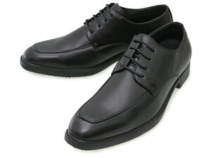 Raccoonn N[ yʖhrWlXV[Y Y j ₷ amC OH H U`bv Xg[g`bv [t@[  vC ʋ tH[}  A RC Xgb`f