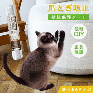 yV10%OFFN[|zňl큚 ǎیV[gL ܌h~V[gǕیV[g͂   ybg ڗȂ/Ƌ/\t@/Lb`Ȃǂ̏ h~ 