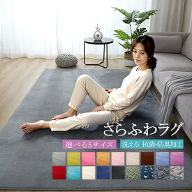 【人気毛布12％OFF特別クーポン】★福袋対応商品★ ラグ 洗えるラグ さらふわラグ 洗える おしゃれ 防ダニ 冬 床暖房対応 オールシーズン 滑り止め マット ラグマット カーペット ラグカーペット センターラグ ホットカーペット 絨毯 ラグ 滑り止め付