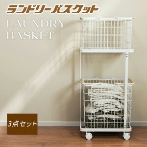 yP5{10OFFzuSNSb聕TLyJÒv h[oXPbg 󂩂 h[S{oXPbg 3_Zbg 2i bN LX^[t h[[ h[b
