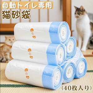 y10OFFN[|zzz LgC pS~ p 40 2[ p В LgC lRgC LgCpi LgCS~ L̃gC LpgC L̃gC L  g