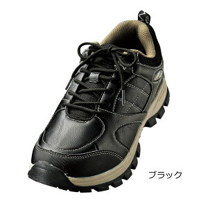 JWAV[Y 蕝L3E hdl S[fxA Golden Bear AEghAV[Y JWAC 954140