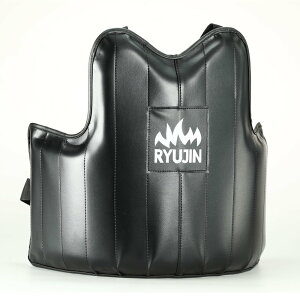 RYUJIN {fBveN^[ X[p[n[hf ubN // h  {fB veN^[ d K  @ Ō g 