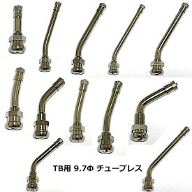 【お買い物マラソン最大28倍】 エアーバルブ エアバルブ TB用バルブ 1個 9.7mm 汎用 チューブレス トラック バス