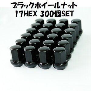 Ɣ zC[ibg ubNibg P1.5 P1.25 17HEX 300 ܃ibg nCG[X  N T[t pWF Lo  vEX