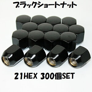 y}\ő28{z Ɣ zC[ibg ubN V[gibg P1.25 21HEX 300 jbT Y y
