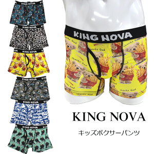 {NT[pc LbY  j̎q pc q KING NOVA LOmo  OJ hC  V[c uh N} qE  h w w Z