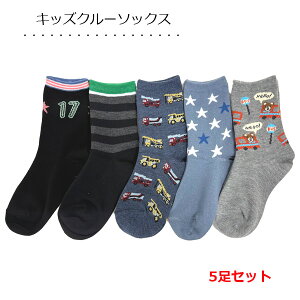 C LbY 5g N[\bNX j̎q 15`20cm JWA\bNX {[CC 1000~ۂ qC