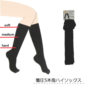 \bNX nC\bNX 5{w n ƕt