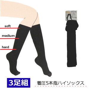 \bNX nC\bNX 5{w y3Zbgz n ƕt fB[X