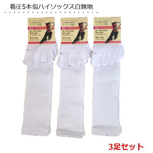 y3gz\bNX 5{w n ނ݂Ƃ ƕt nC\bNX i[X Ōt