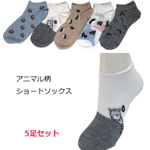 V[g\bNX y5Zbgz Aj} C fB[X nCQ[W Ԃ 킢 tNE lR nlY~ yM N}  t