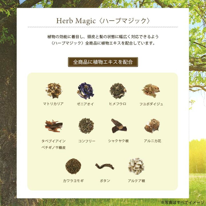 楽天市場 Herb Magic ハーブマジック フィルズケア Lv Re 0g サロン専売品 ヘアトリートメント ヘアケア 美髪 Magicmagic