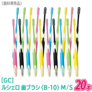 y11/1II100|CgobNzq3ryIׂ邩/20{ZbgzyzmGCnW[V[ VF uVqB-10rM ӂ / S 炩 Ȑꔄi