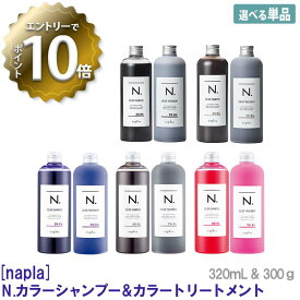 【4/27 01:59まで！エントリーでP10倍！】【えらべるカラー/単品販売】【あす楽/送料無料】［ナプラ］N. エヌドット カラーシャンプー 320mL　トリートメント 300g　パープル　ブラック　シルバー　ベージュ　ピンク　napla 　サロン専売品 専用ポンプ