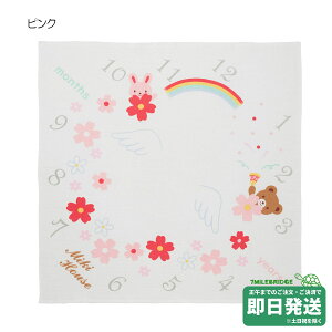 ~LnEX K[[ xr[oX^I ~LnEXK̔X[OK