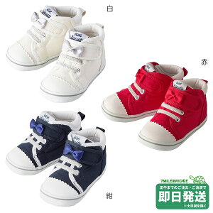 Z[30%OFFIzbgrXPbc { ZJhV[Y i13cm-15cmj~LnEXK̔X[֕s