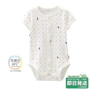 Z[30%OFFI~LnEX sAx[ RہEREBX hbg  tCX{fBVc(60cm)~LnEXK̔X[OK