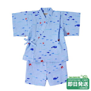 zbgrXPbc   rX[c(80cm-100cm)~LnEXK̔X[֕s