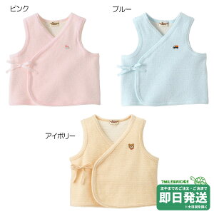 �z�b�g�r�X�P�b�c ���Q�� �����|�C���g �x�r�[�x�X�g �����i50cm-70cm�j�~�L�n�E�X���K�̔��X�����[���֕s��