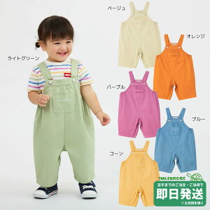 �yWEB����z�~�L�n�E�X �~�L���S 6����I�[�o�[�I�[�� WebLimited�i70-100cm�j�~�L�n�E�X���K�̔��X�����[����OK