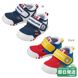 Z[30%OFFIzbgrXPbc _ubZ t@[Xgxr[V[Yi11.5cm-13.5cmj ~LnEXK̔X[֕s