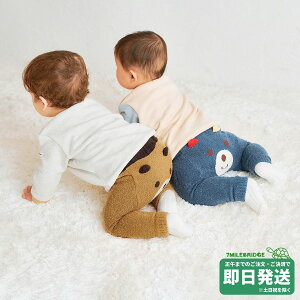 zbgrXPbc f ̓r[Y 9xr[Xpbc ~LnEXK̔X[OK