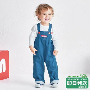 yWEBz~LnEX Xgb`fjI[o[I[ WebLimitedi80-150cmj~LnEXK̔X[֕s