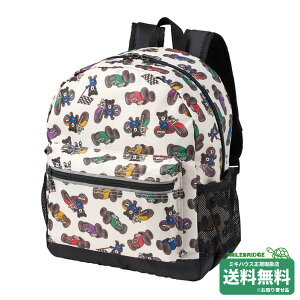 �_�u���r�[ DB���[�V���O �V���[�Y ���� �����b�N M�T�C�Y(10���b�g��) �~�L�n�E�X���K�̔��X�����[���֕s��