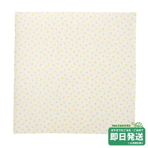 Z[30%OFFIzbgrXPbc { K[[oX^I ~LnEXK̔X[֕s