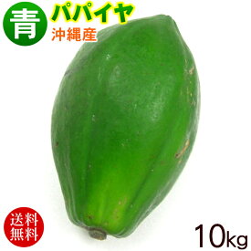 沖縄産 青パパイヤ 約10kg　/沖縄野菜 パパイン酵素【送料無料】