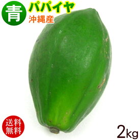 沖縄産 青パパイヤ 約2kg（2玉〜5玉） 　/沖縄野菜 パパイン酵素【送料無料】